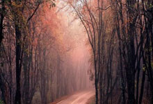 开云-全运会｜举重：两届奥运冠军李发彬轻松卫冕