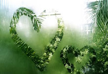 开云app-全运会 | 江苏男棒取得全运会两连冠