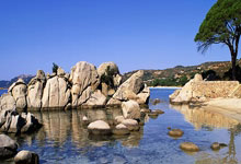 开云平台-全运会｜江苏女垒迎来全运会四连冠